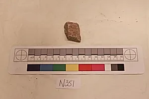 Stucco Fragment