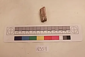Stucco Fragment by Unknown Artist