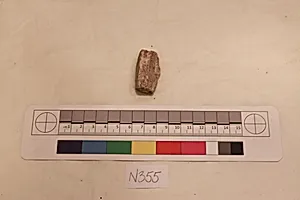 Stucco Fragment