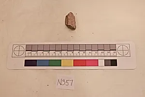 Stucco Fragment