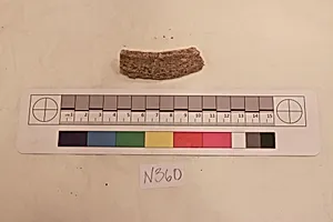 Stucco Fragment