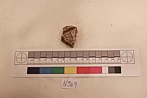 Stucco Fragment