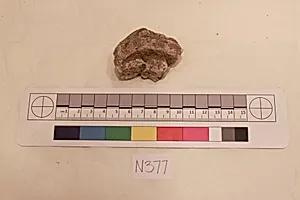 Stucco Fragment by Unknown Artist