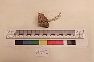 Stucco Fragment