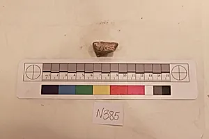 Stucco Fragment