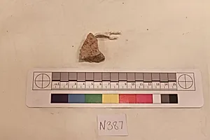 Stucco Fragment