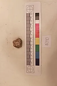 Stucco Fragment