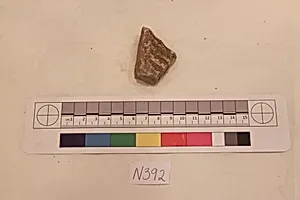Stucco Fragment