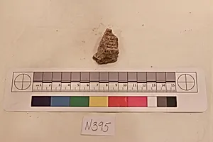 Stucco Fragment