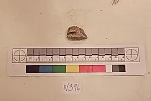Stucco Fragment