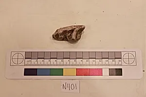Stucco Fragment
