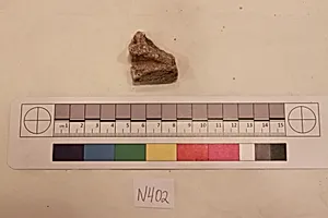 Stucco Fragment