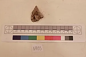 Stucco Fragment
