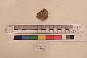 Stucco Fragment