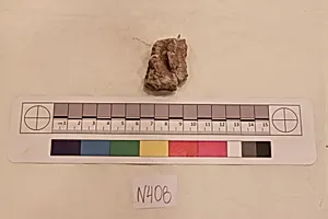 Stucco Fragment by Unknown Artist
