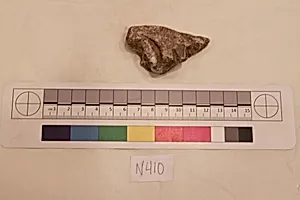 Stucco Fragment