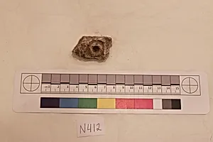 Stucco Fragment