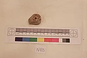 Stucco Fragment