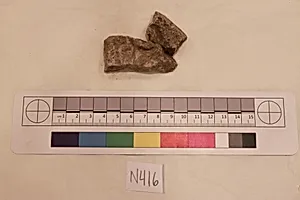 Stucco Fragment