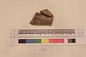 Stucco Fragment