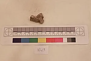Stucco Fragment by Unknown Artist