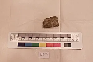 Stucco Fragment