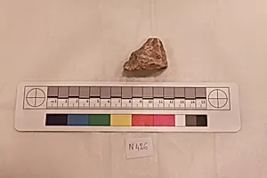Stucco Fragment