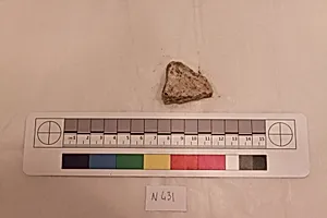 Stucco Fragment