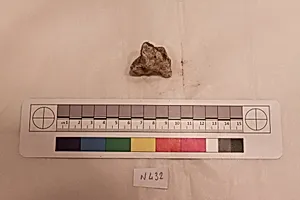 Stucco Fragment