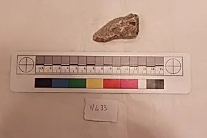 Stucco Fragment