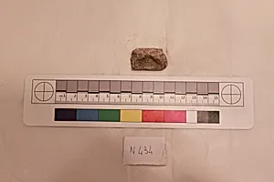 Stucco Fragment