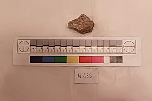 Stucco Fragment