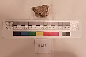 Stucco Fragment