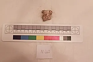 Stucco Fragment by Unknown Artist