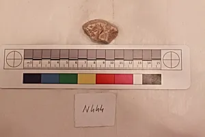 Stucco Fragment