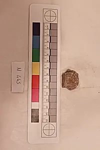 Stucco Fragment