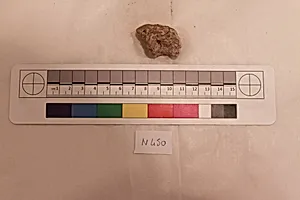 Stucco Fragment by Unknown Artist