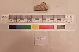 Stucco Fragment