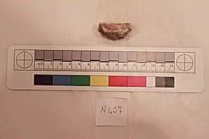 Stucco Fragment