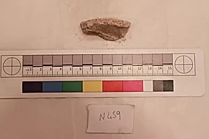 Stucco Fragment