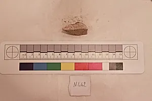 Stucco Fragment