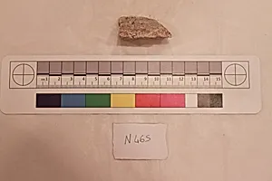 Stucco Fragment