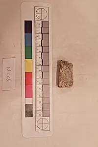 Stucco Fragment