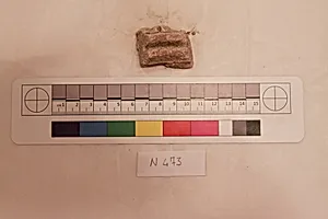 Stucco Fragment