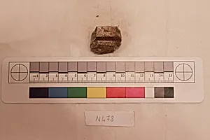 Stucco Fragment