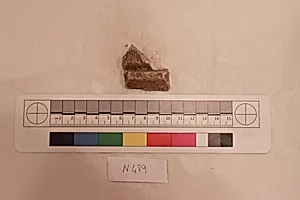 Stucco Fragment