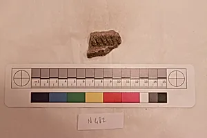 Stucco Fragment