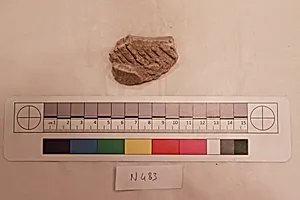 Stucco Fragment