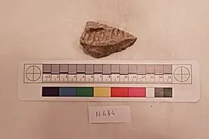 Stucco Fragment