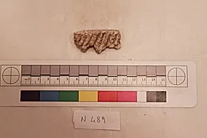 Stucco Fragment